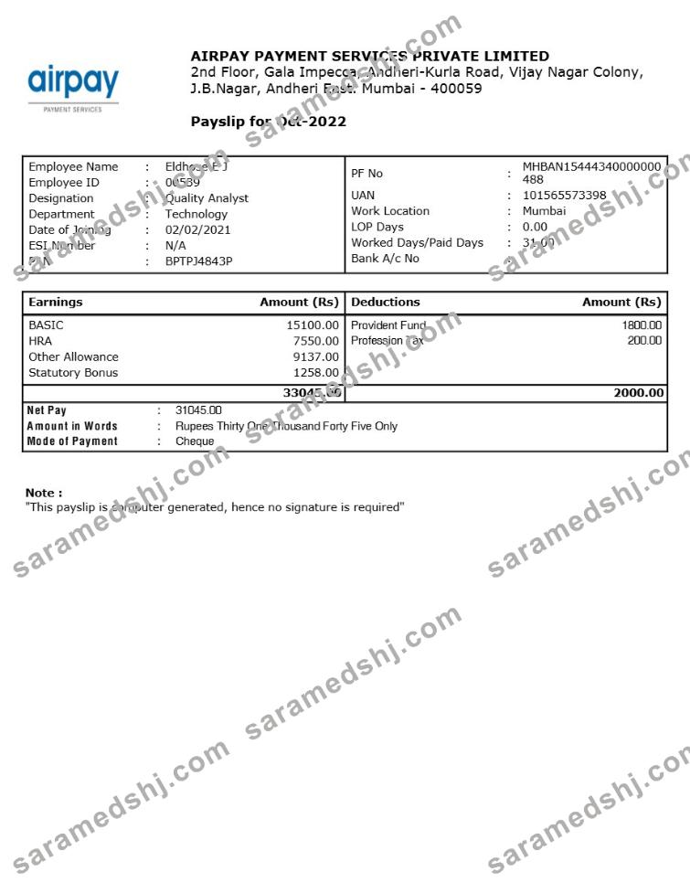Airpay Payment Services payslip template in Word and PDF formats.pdf, 1